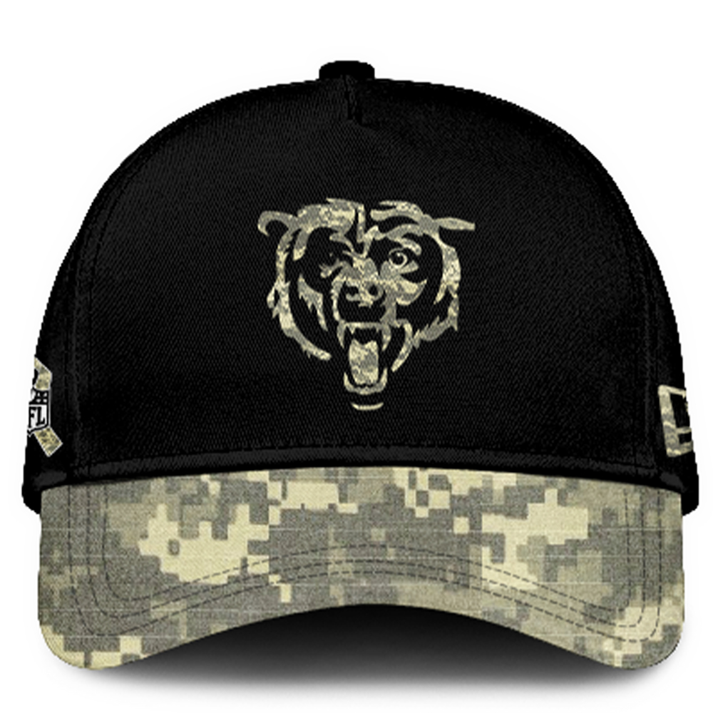 Chicago Bears Veterans Day Hoodie