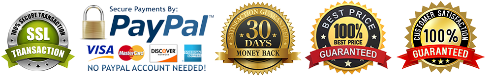 FOREVER Ayrton Senna Hoodie