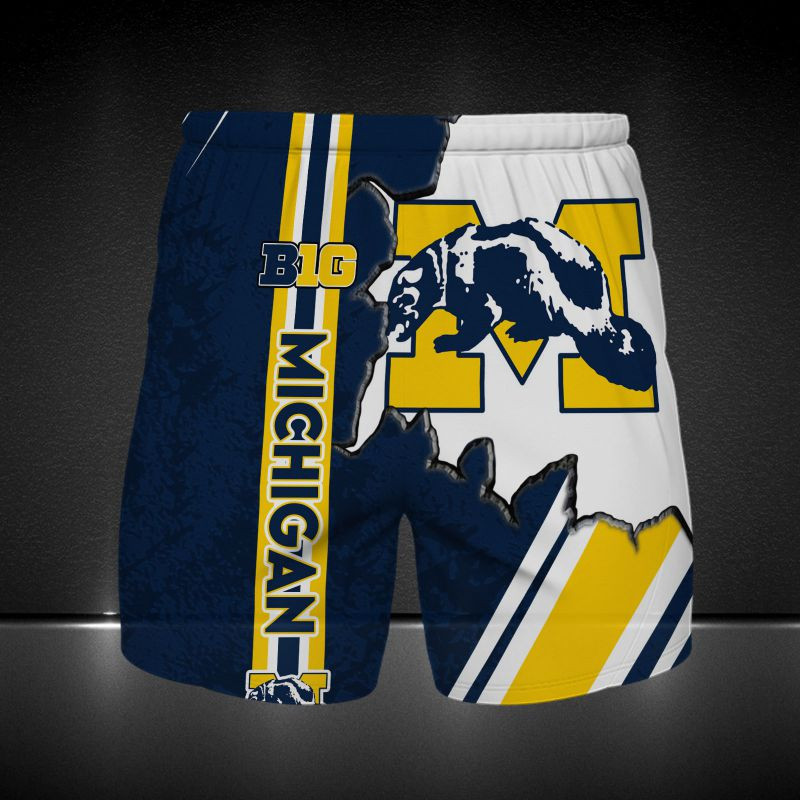 Michigan Wolverines Printing T-Shirt, Polo, Hoodie, Zip, Bomber 8413